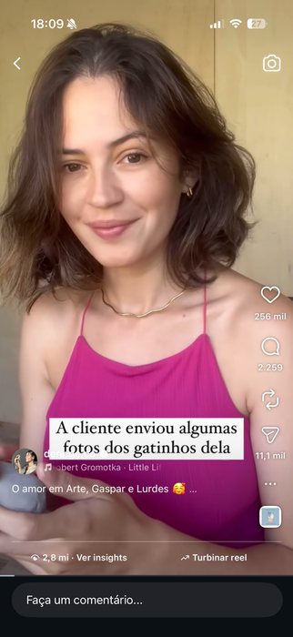 A cliente enviou fotos dos gatinhos dela
